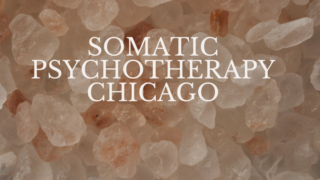 Somatic Psychotherapy Chicago — practitioner in Oak Park, IL